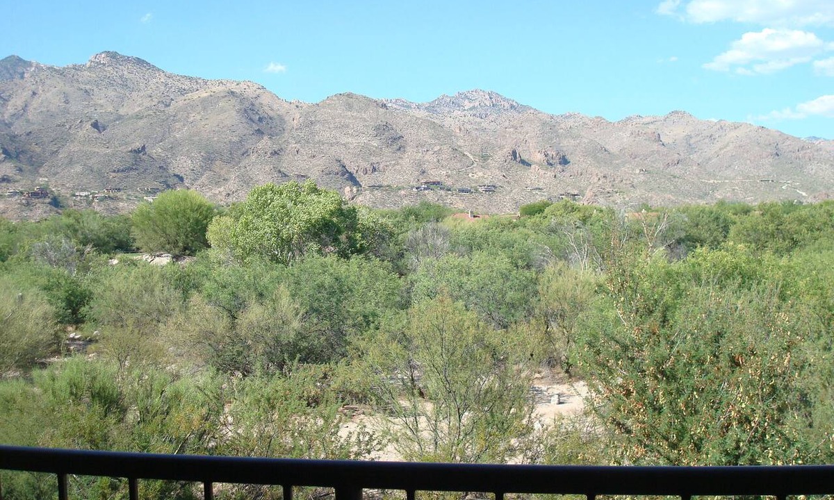 Tucson Condo | 1 Bedrm/Den with Fantastic Mountain Views-Open floor plan- King bed in Master