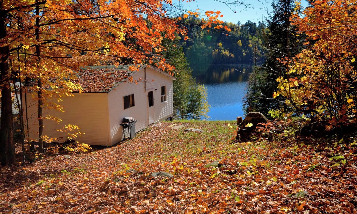 Hastings Highlands Cottage | 2 Bedroom Lakefront Cabin on Baptiste Lake