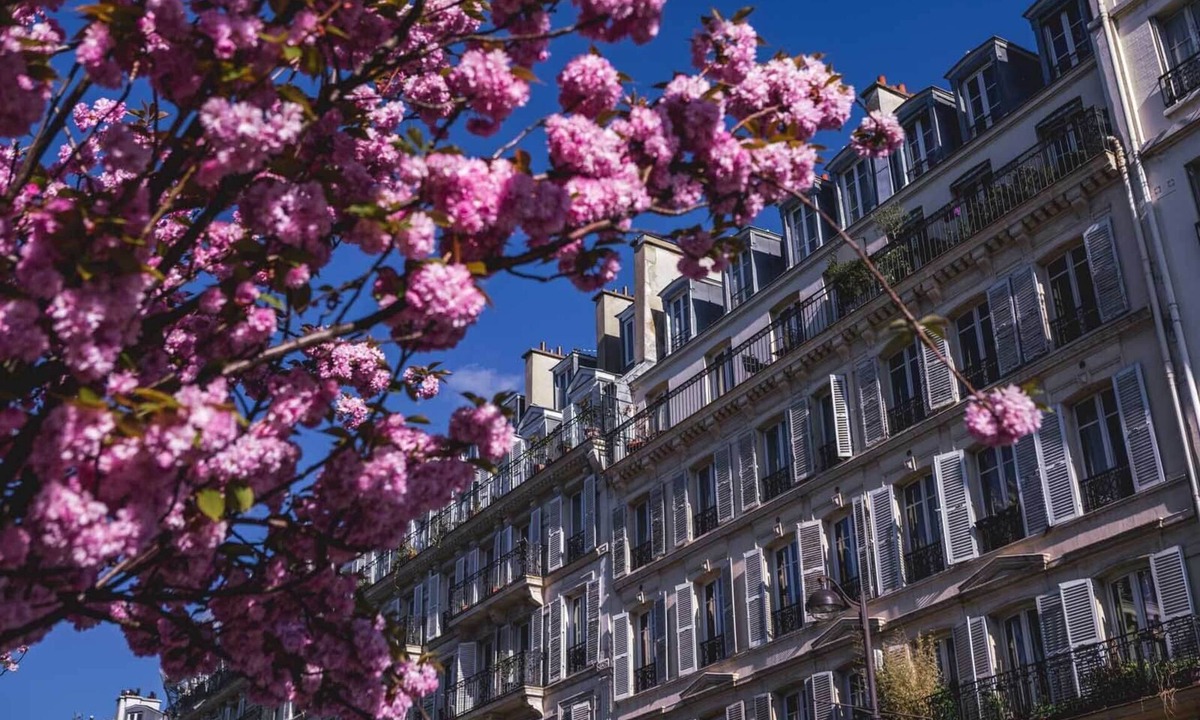 3rd Arrondissement Apartment | 3 Bedroom Apartment OF Spectacular French Opulence IN Marais