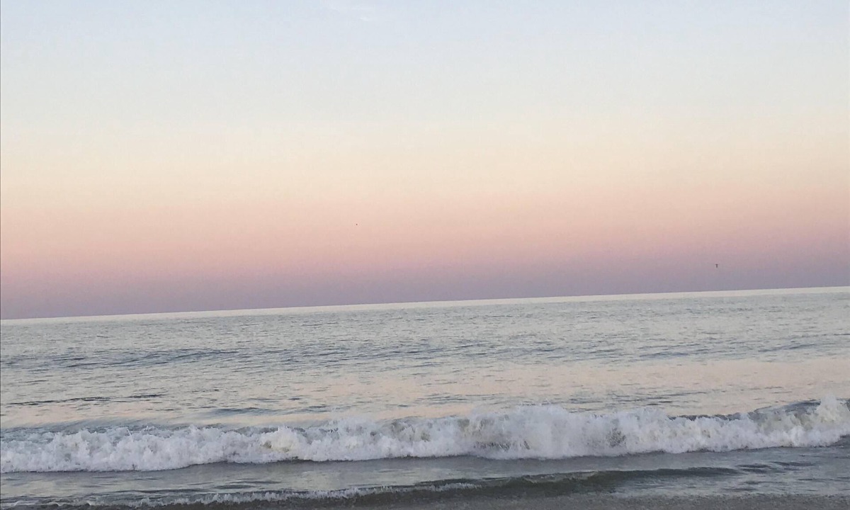 Rehoboth by the Sea Cottage | A COZY BEACH COTTAGE - NEW LOWER RATE FOR LAST WEEK OF AUGUST