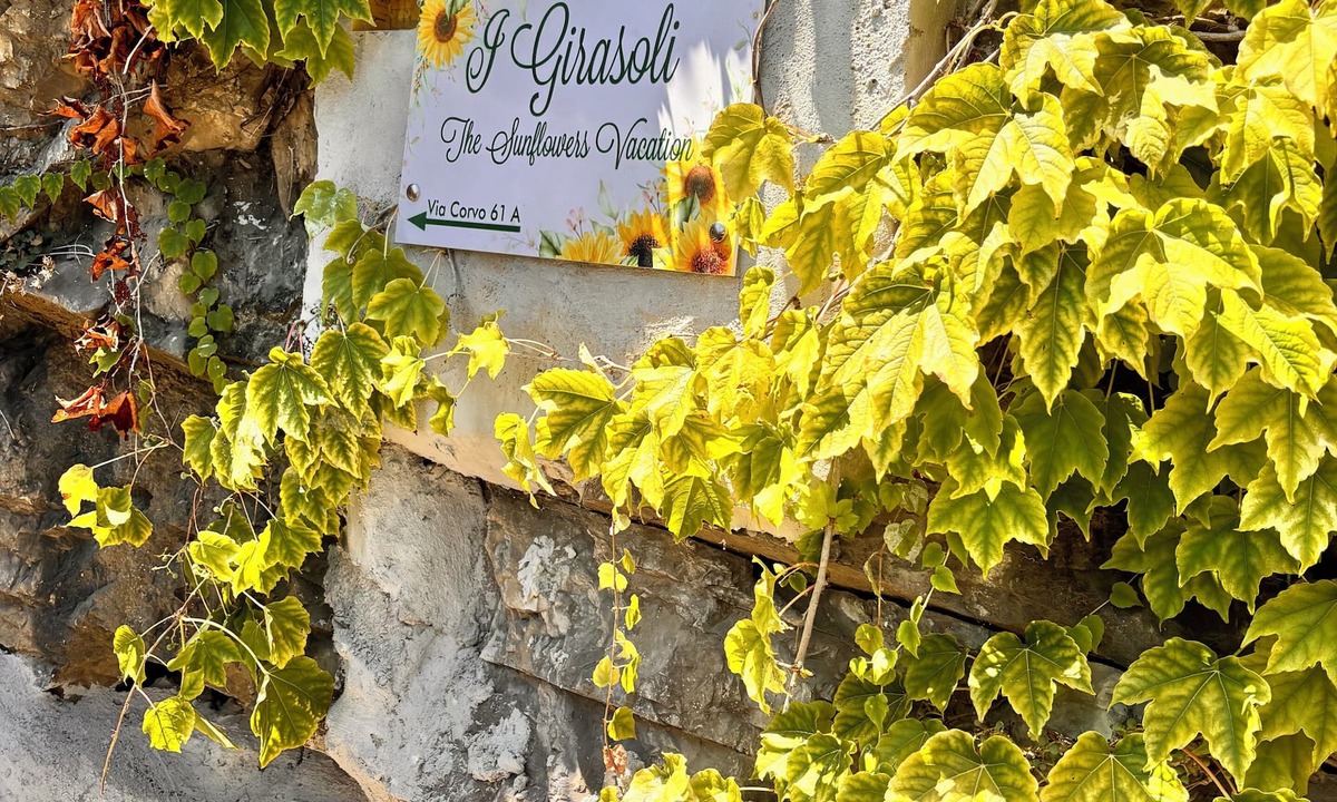 Chiesa Nuova Apartment | Apartment "The Sunflowers"