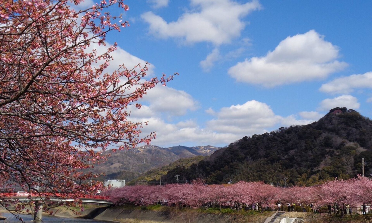 Yatsu Apartment | Apartment type room 202 where you can spend a rela/Kamo-gun Shizuoka