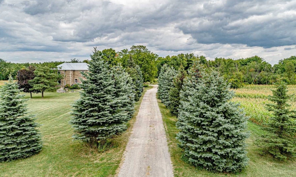 Georgetown Cabin | Beautiful 5-Bedroom Estate With Full Privacy