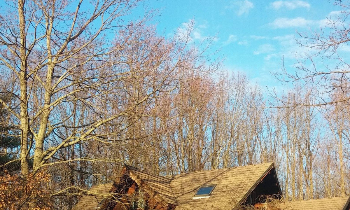 Pine Forge House | Charming 2-bedroom estate in serene Boyertown with AC