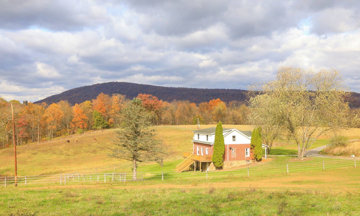 Newport House | Charming 3-bedroom Farmhouse in Newport