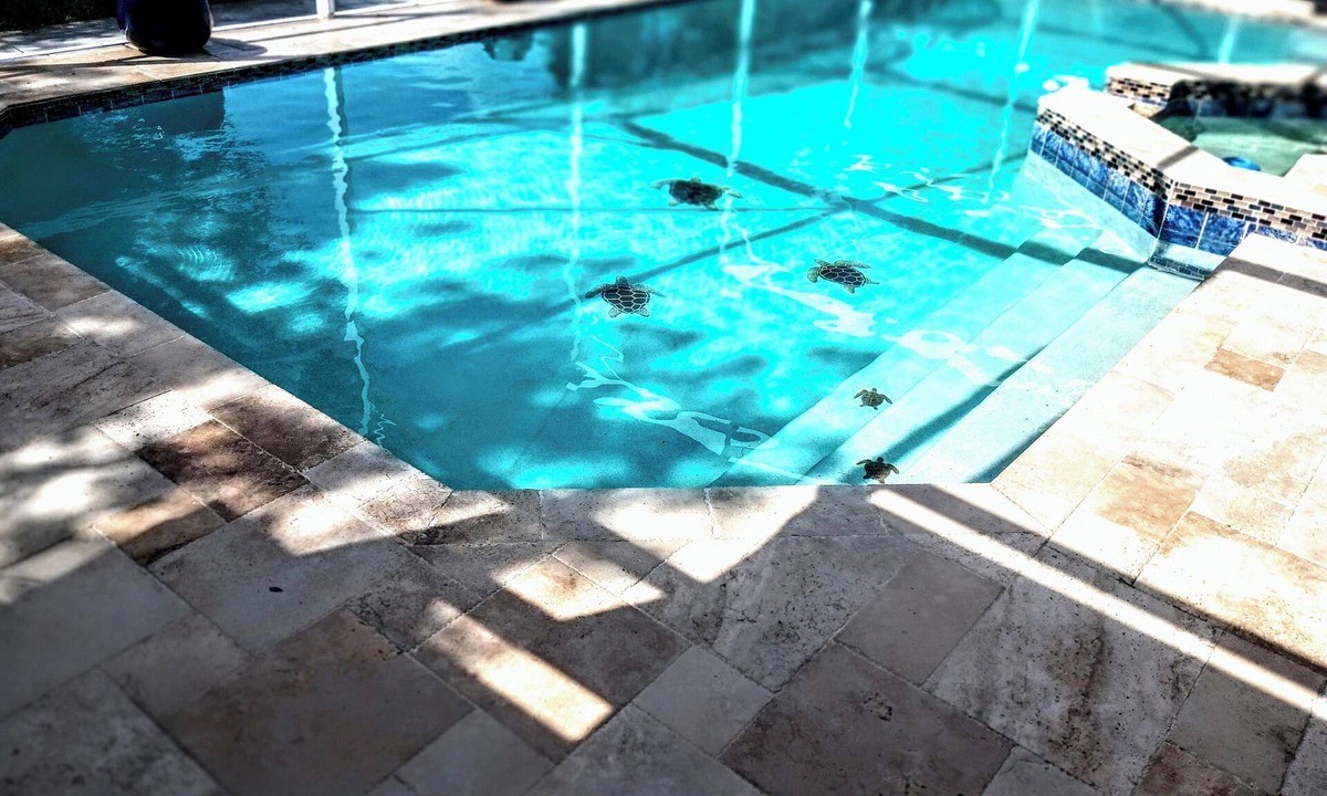 Goldenrod House | Charming 3-bedroom house with WiFi, AC in Winter Park