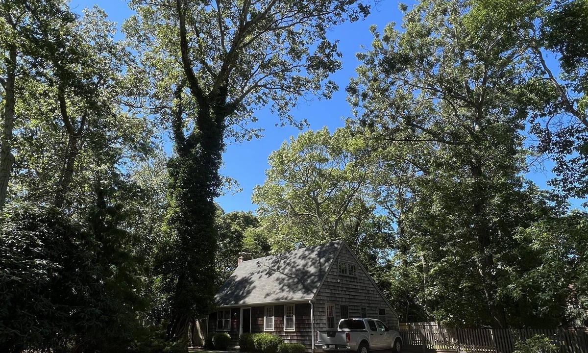 Springs Cottage | Charming & Rustic Artists Mid Century Modern Hamptons Escape