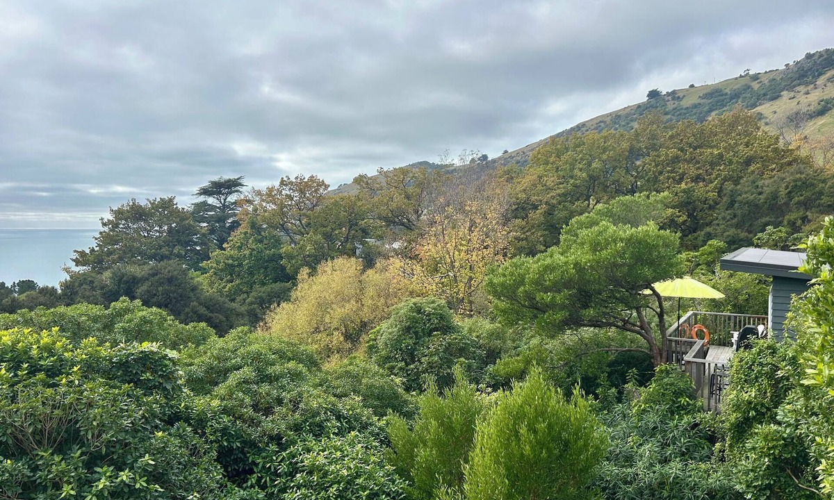 Little Akaloa Cabin | Cosy cabin style bach, immersed in native bush, in beautiful Banks Peninsula
