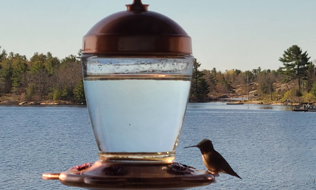 Carling Cabin | Cottage #5 - 3 Bedroom at Katawoda Cottages