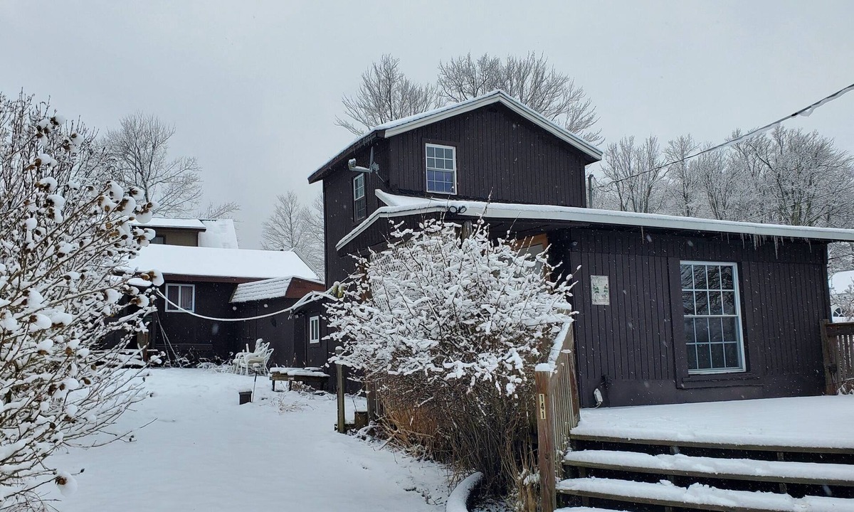 Carbondale Cottage | Cozy Lake Cottage with Elk Mountain 20 Minutes