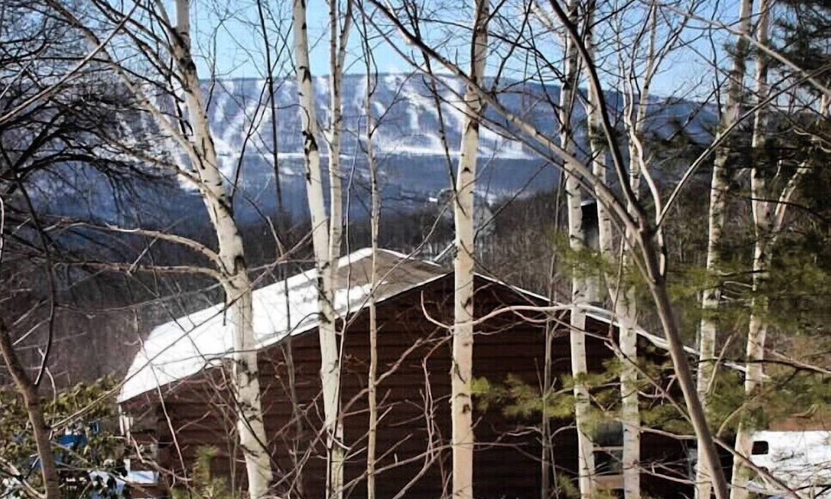 Pine Hill Cabin | Cozy Log Cabin in the Catskills Belleayre Ski Mountain