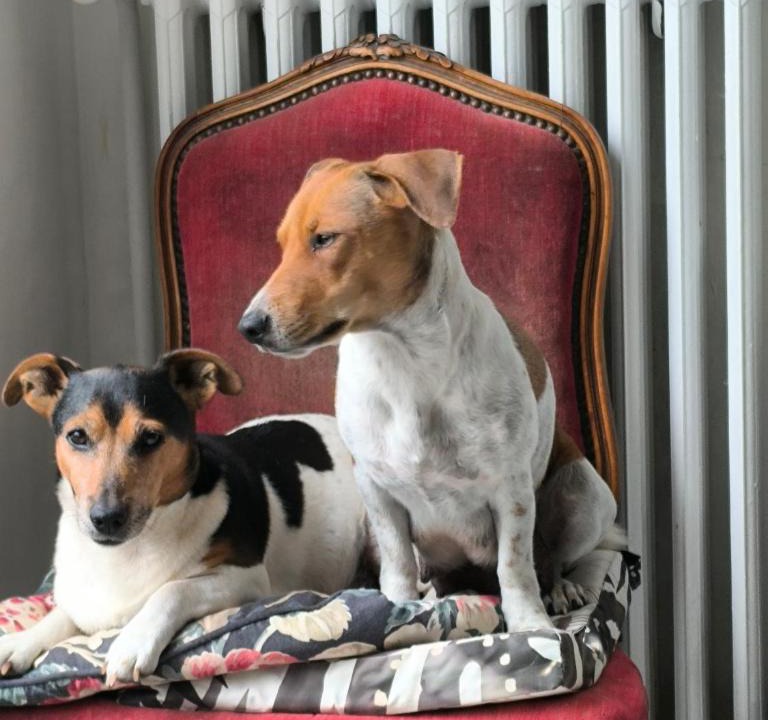 Champrosay House | Domaine de Ris