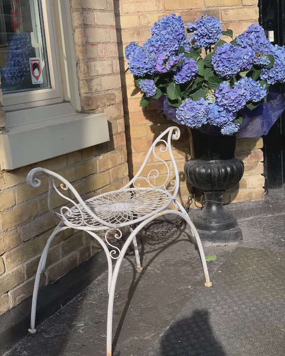 Cabbagetown South House | Downtown: Close to Attractions, Universities, Hospitals, Shopping, + Parking!!