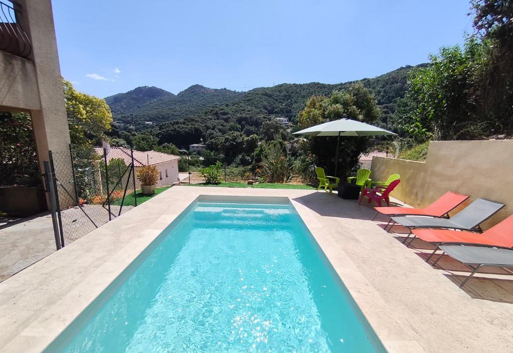 Eccica-Suarella Apartment | Eccica - Bottom of villa, quiet garden, and pool
