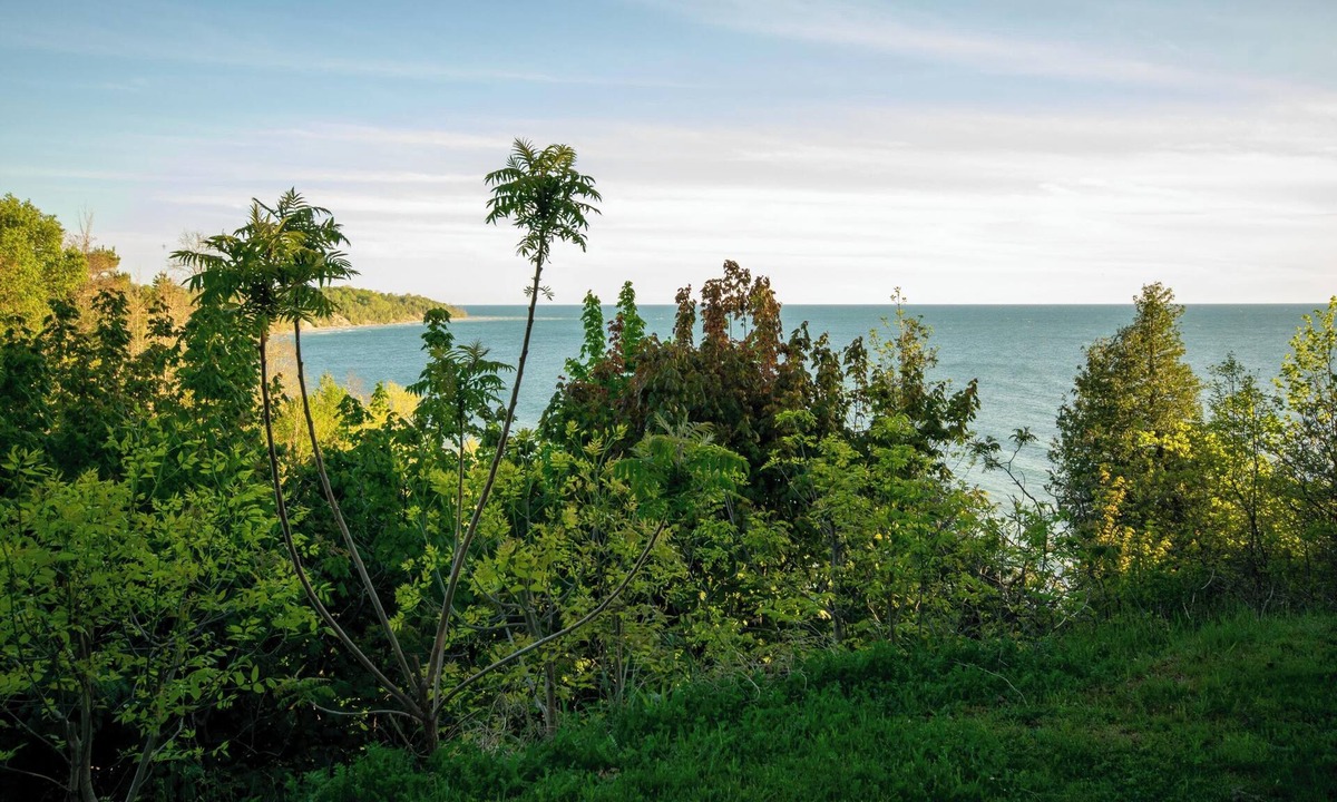 Central Huron Cottage | Fiddler's Green: Amazing Views!