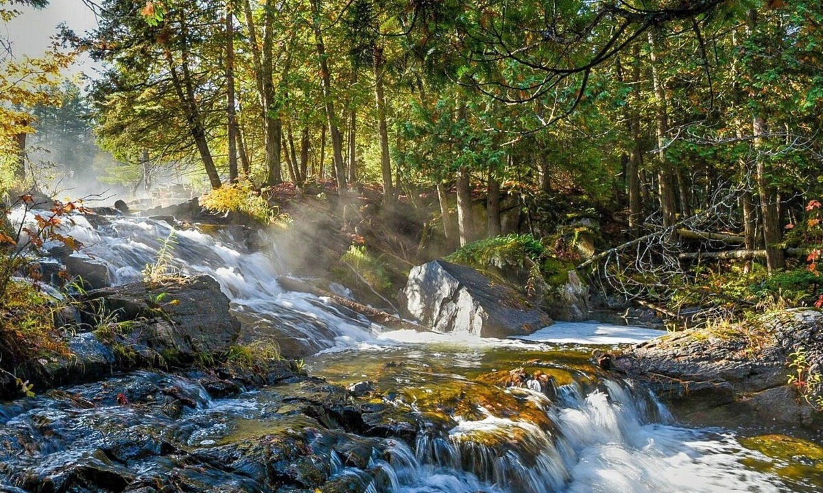 North Frontenac Cottage | Forest retreat with private waterfalls