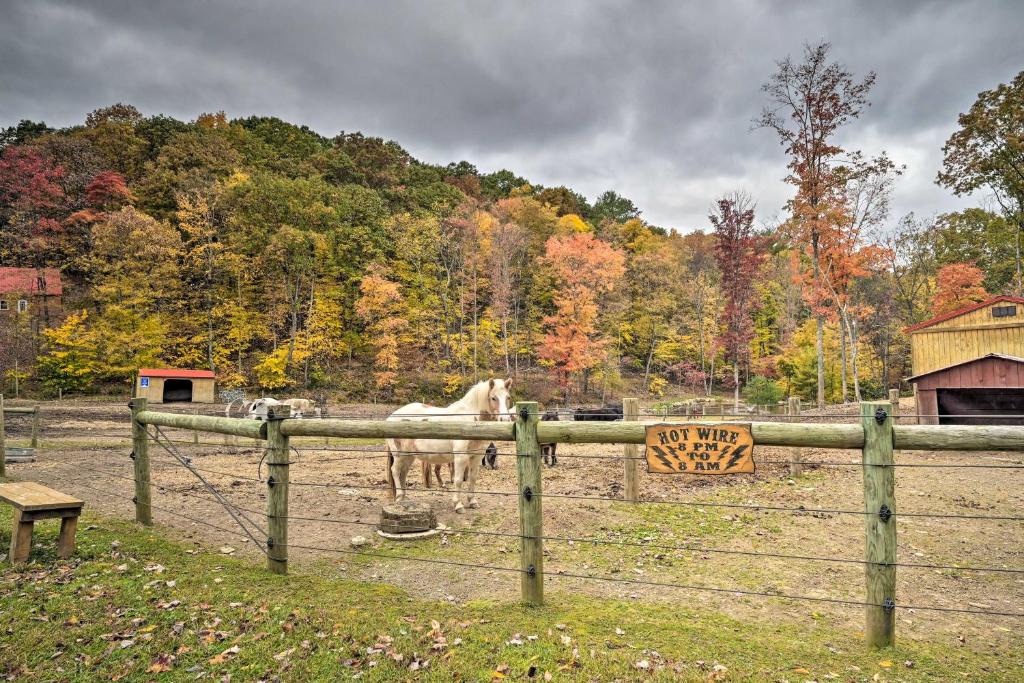 Huntingdon Apartment | 'James West' Apt w/50 Acres Near Raystown Lake