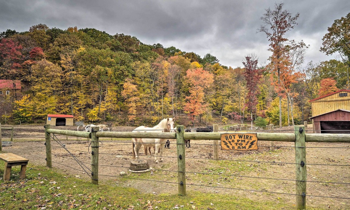 Huntingdon Apartment | 'James West' Apt w/50 Acres Near Raystown Lake