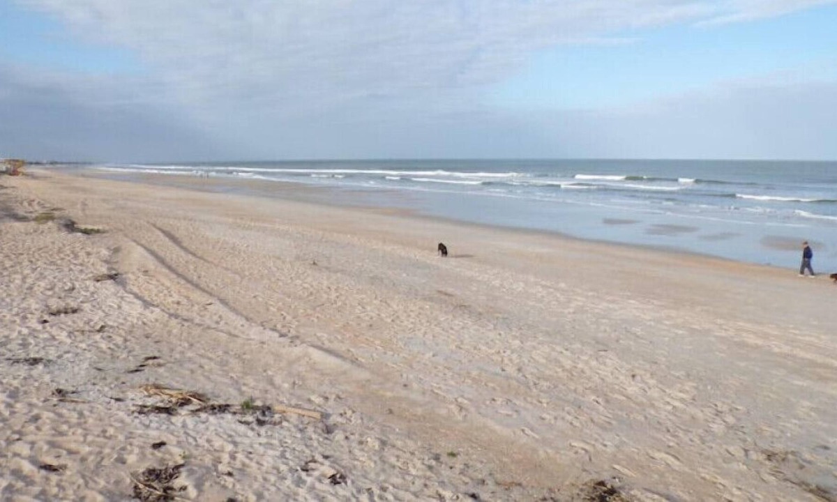 Vilano Beach Cottage | Las Olas!
