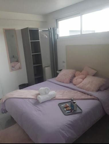 Tremblay-en-France Hotel | Love Room Douceur