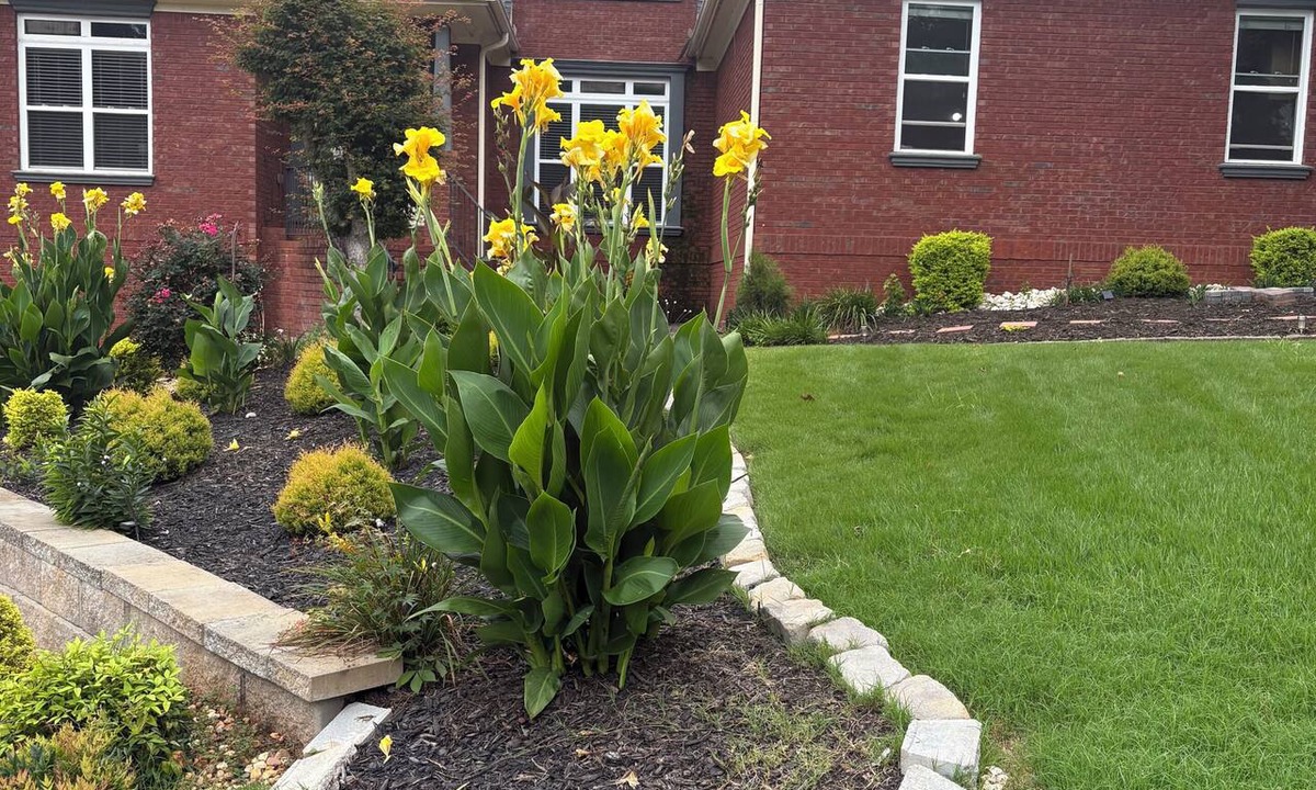 Braselton House | Main level access = 2 BR, 2 private baths, and much more. Wheelchair accessible.