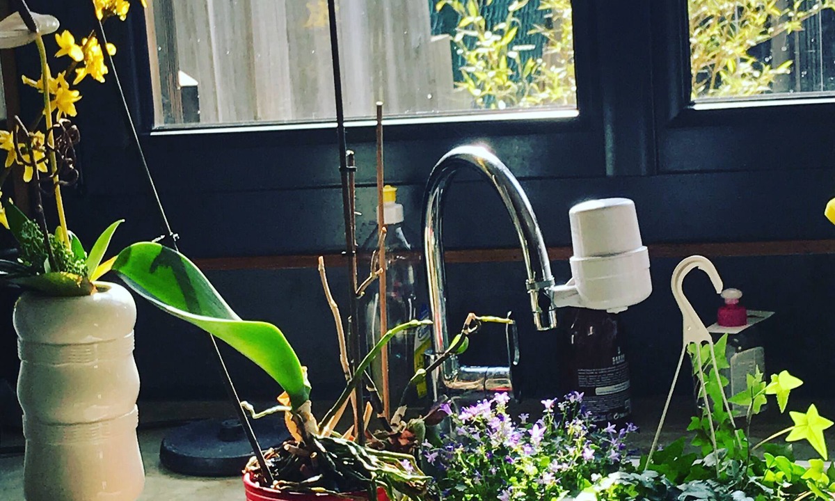 Montreuil House | Maison Avec Jardin à Montreuil Proche de la Ligne 11 et des Jo