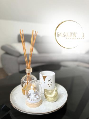 Bondy Apartment | MALES Appartment