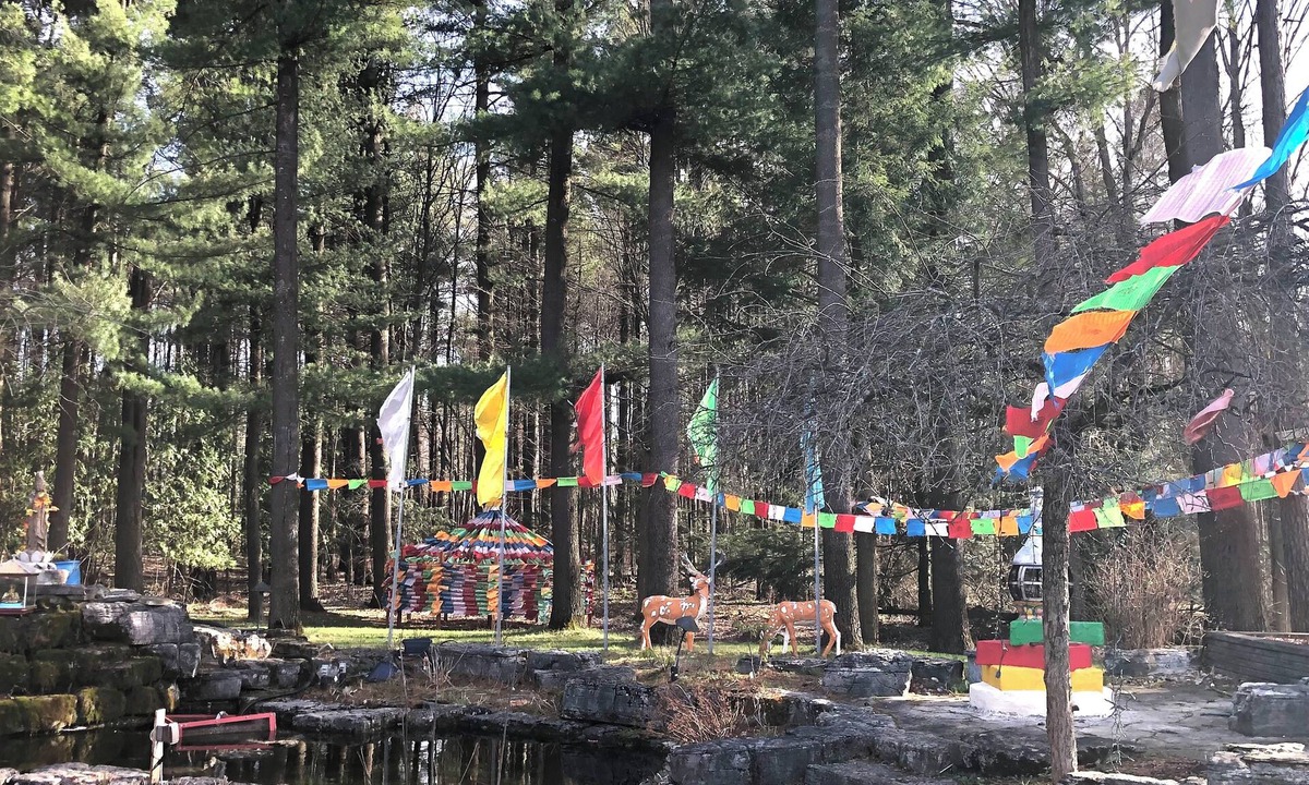Whitchurch-Stouffville House | Natural relax experience in heart of the forest with swimming pool & open space