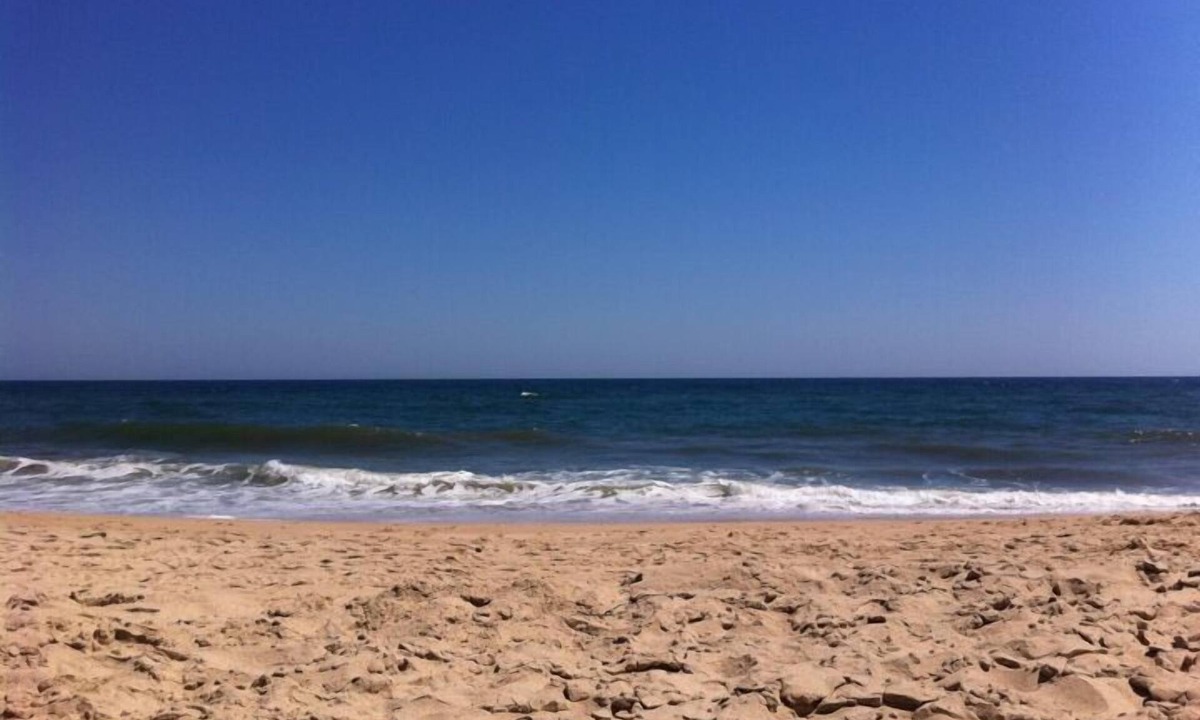 Montauk Cottage | Ocean View Modern Cottage —Walk to Town, Beach Pass Included.