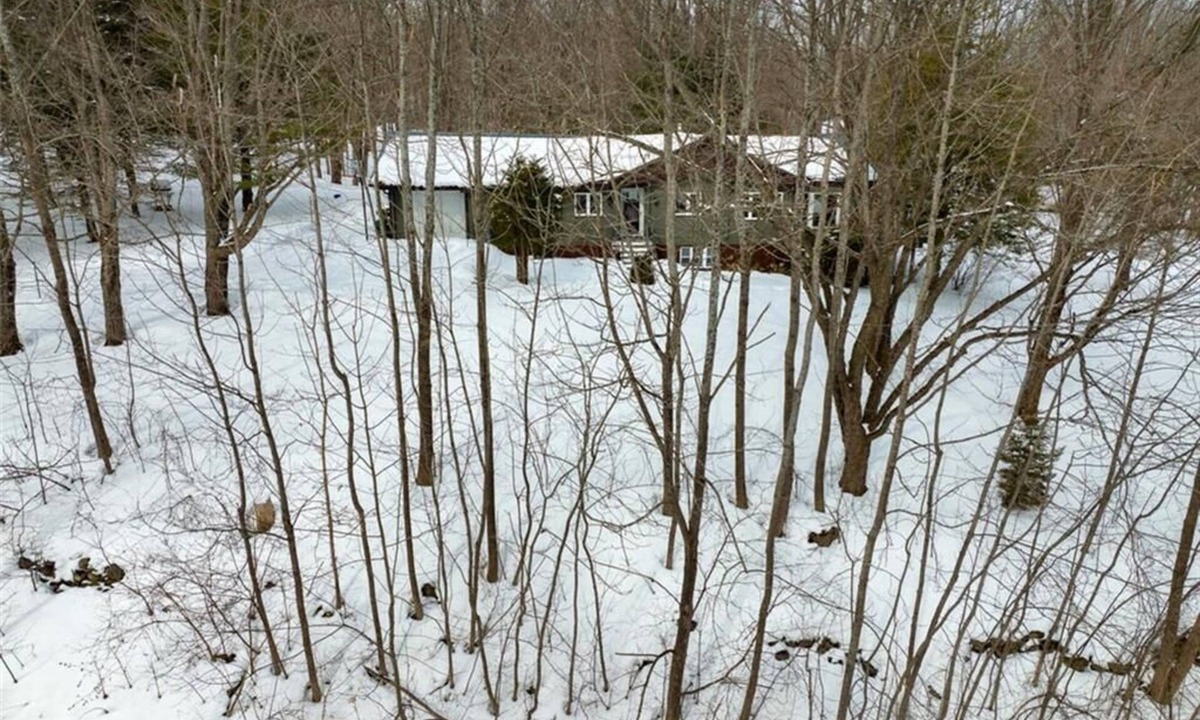 Grey Highlands Cabin | Private Cabin Retreat in Pretty River Valley |15 min to Blue Mountain