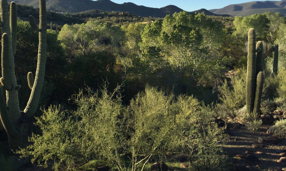 Cave Creek Cottage | Private Casita in Cave Creek