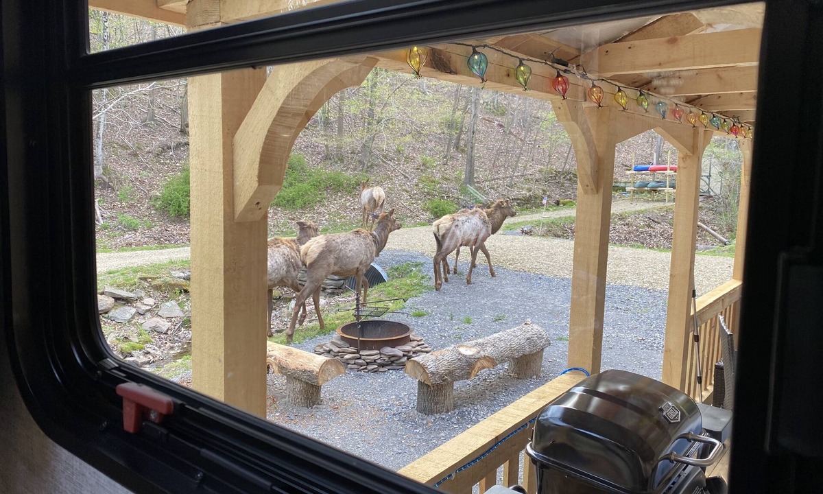Driftwood House | Rivers, private elk viewing, FREE amenities, site on 62 acres