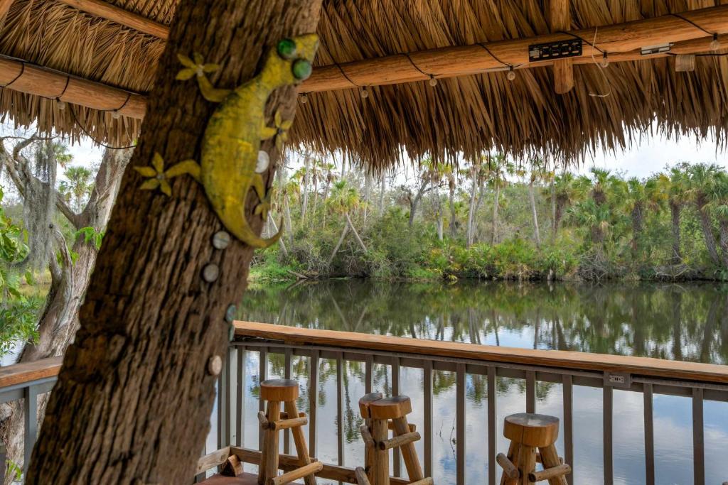 Braden River Apartment | Riverside Breeze Tropical Retreat w Tiki Hut&BBQ