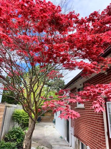 Mississauga Apartment | Riverwood Home-Entire Rental Unit