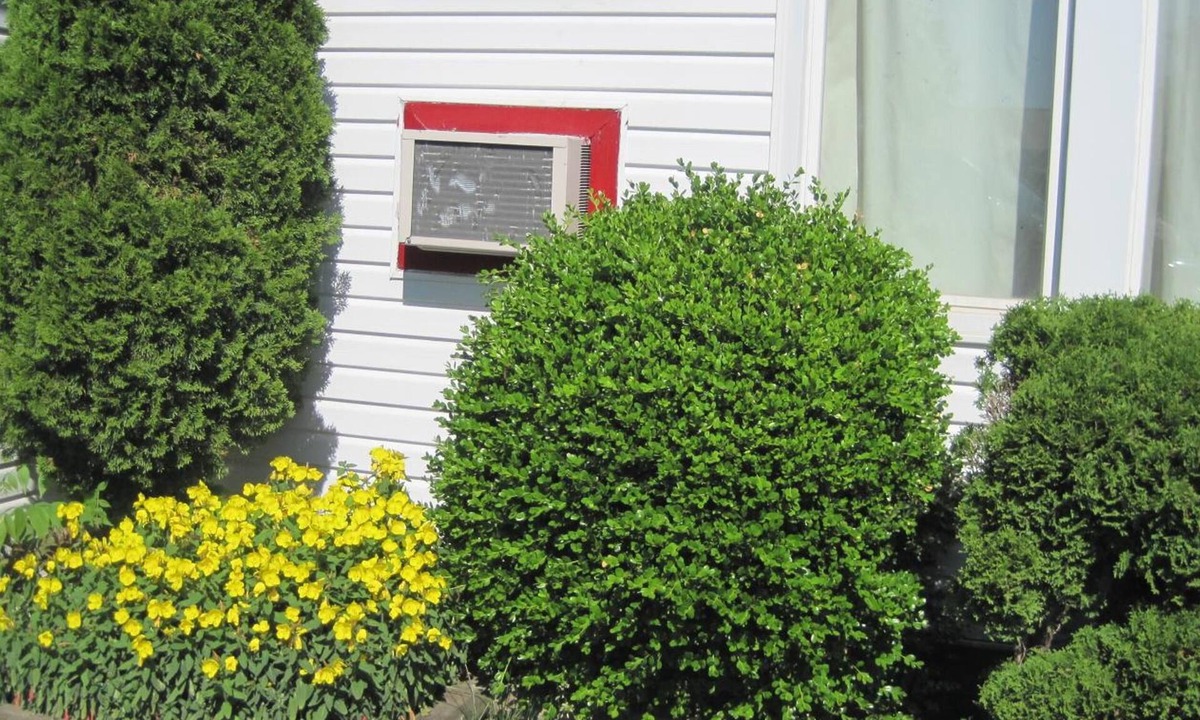 Stratford Hotel | Rosecourt Motel
