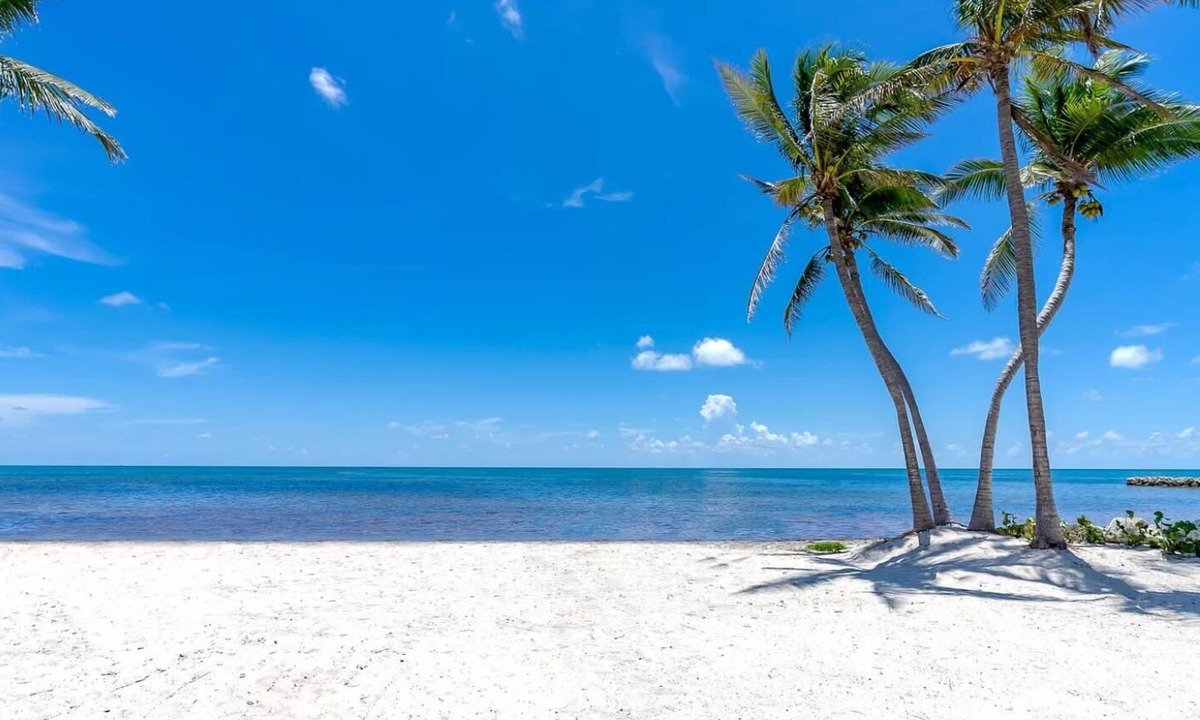 Islamorada Villa | Sensational Ocean Front Villa Kayak+PBs+Cinema+Fire Pit+Pool License # 24-4115