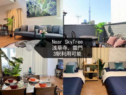 Sumida Villa | Sky Terrace 新築独栋戸建 阳光露台观景天空树