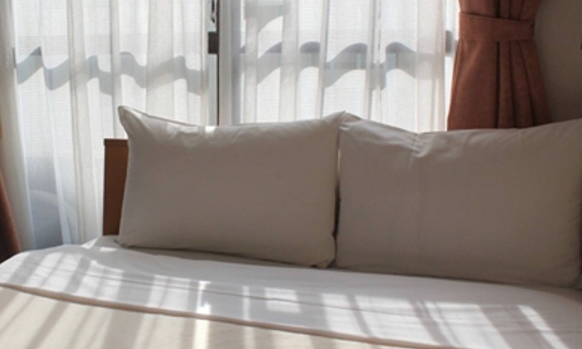 Nishiikebukuro Hotel | Smoking Semidouble room Standard plan Room o/Toshima-ku Tokyo