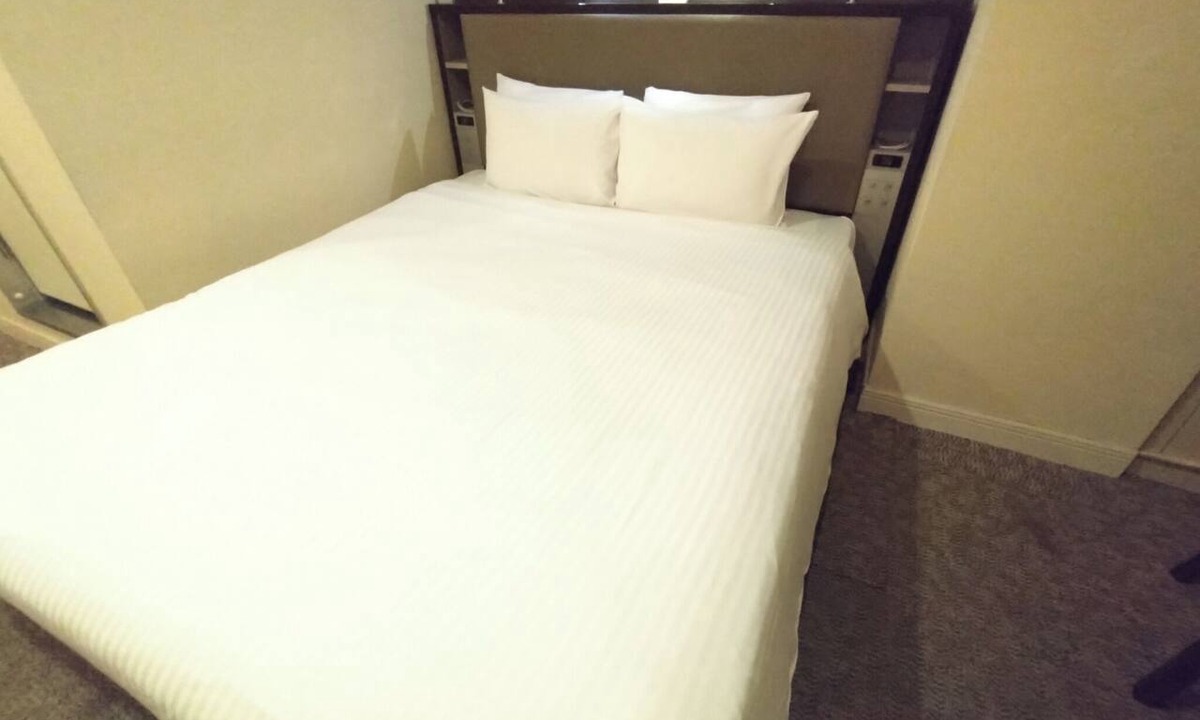 Asakusa Hotel | Standard Room only Double C Nonsmoking/Taito-ku Tokyo
