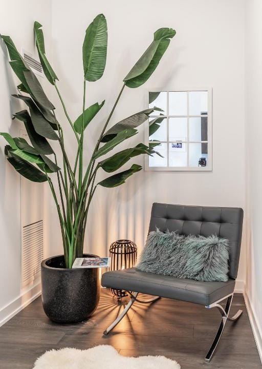 Wellington Place Apartment | Stylish Apartment in Fort York