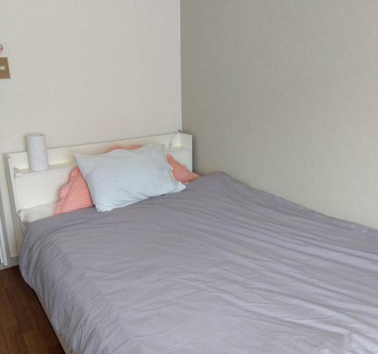 Kamata Apartment | Sun and Moonホテル302