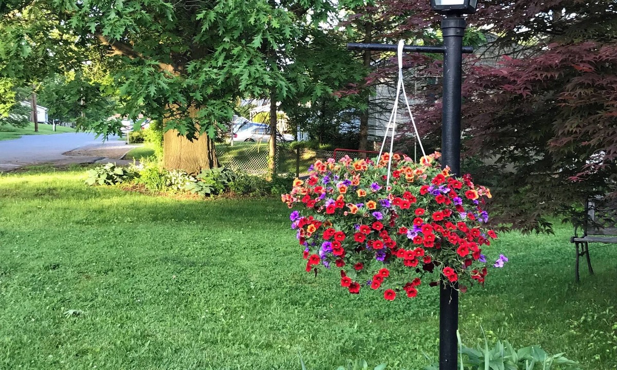Boalsburg House | Sunny and Bright Home, Close to Penn State's Campus