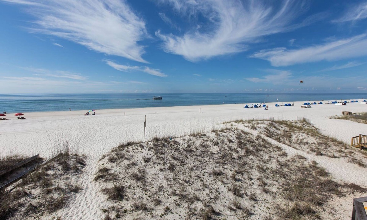 Orange Beach House | The Beach House - Panoramic Ocean Views & Beach Access Near Local Attractions