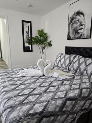 Forest Hills Apartment | The paradise Apartment 1