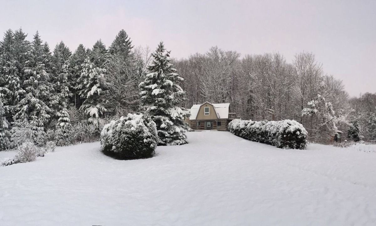 Mono Cabin | The Trails Retreat (Private Cabin)
