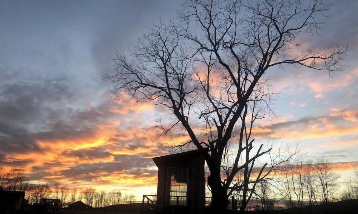 Pine Grove Cabin | Treehouse at Fairview Farms