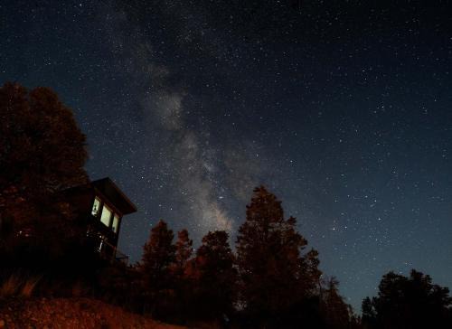 Orderville House | Treetop #8 at East Zion Resort