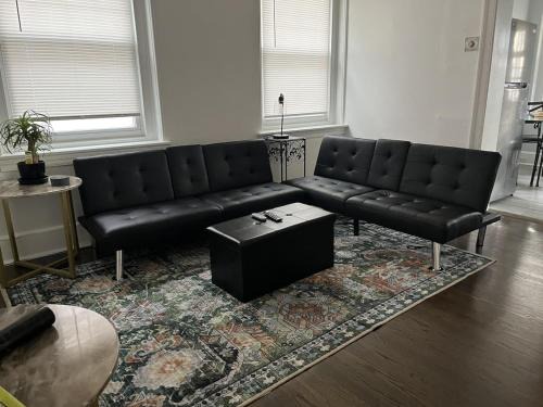 Germantown Apartment | Two Unit Greene Rooftop & Mezzanine Suite