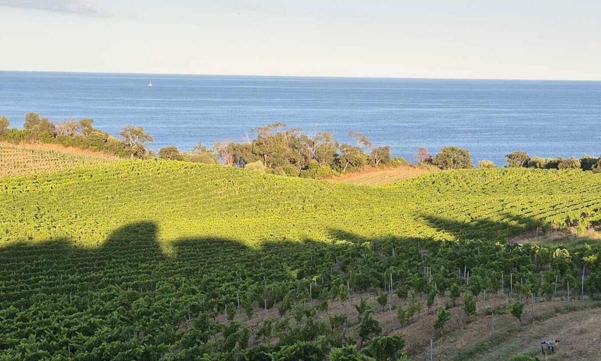 Solenzara Villa | Villa 62m² AU Coeur DES Vignes Face MER Piscine Partagee Chauffee