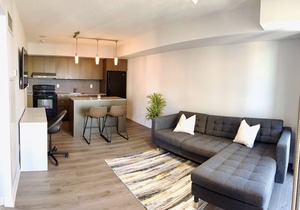 1 bedroom condo with a great view in Toronto downtown